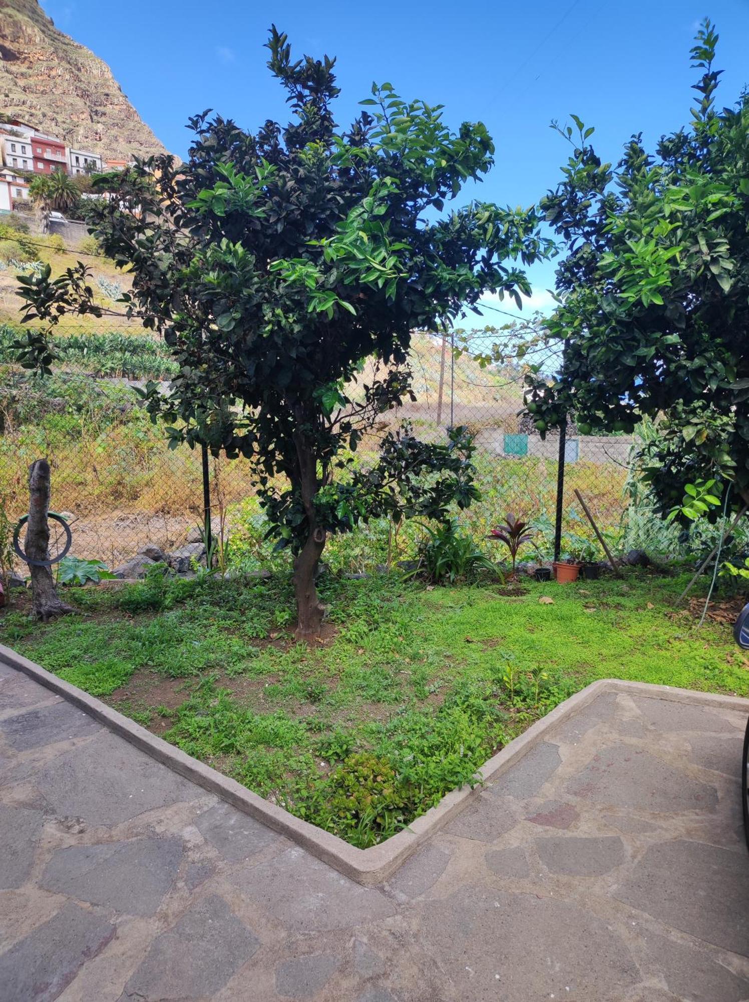 Casa Donela Apartment Hermigua Exterior photo